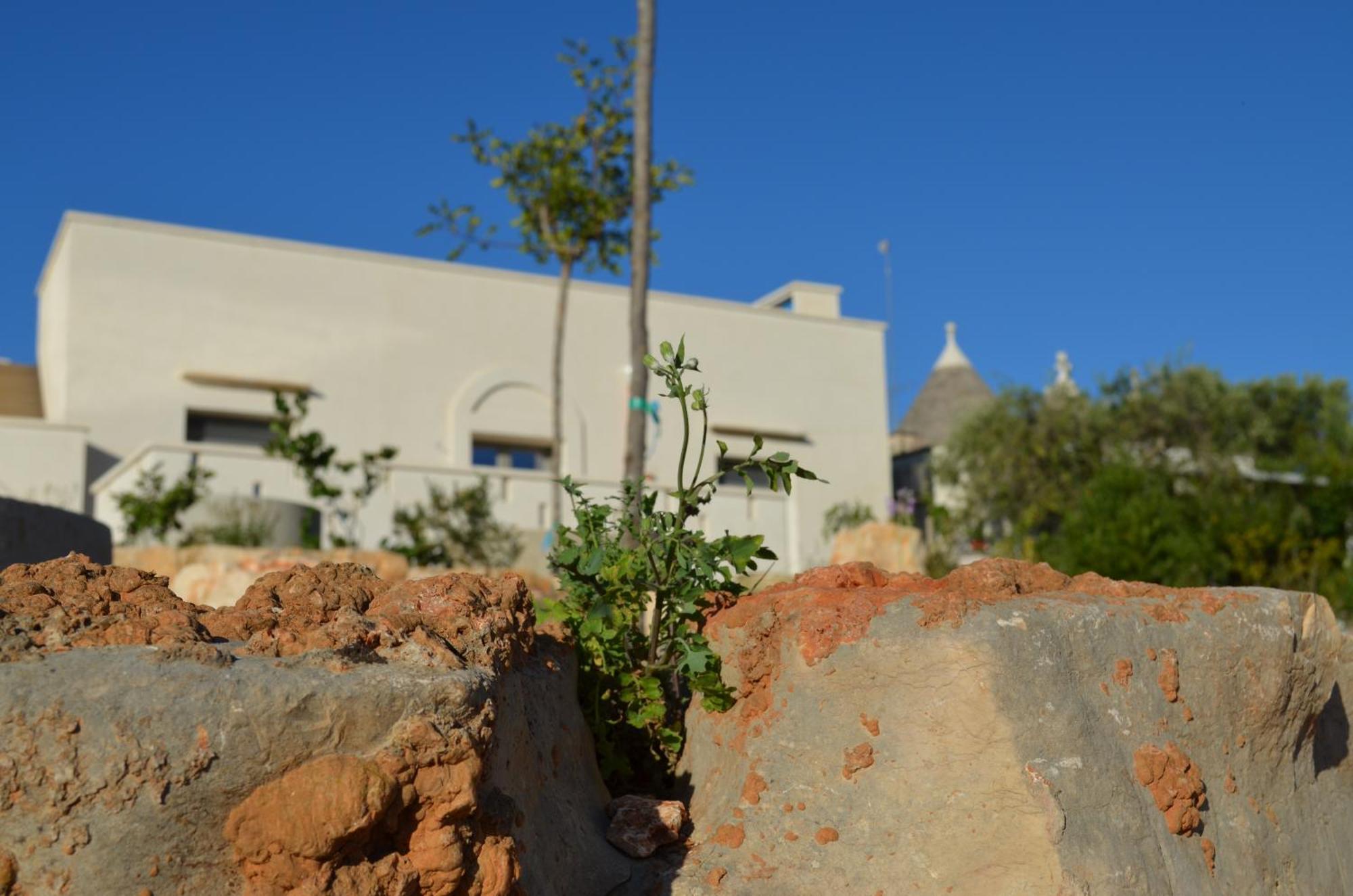 أوستوني B&B Fuga Al Trullo المظهر الخارجي الصورة